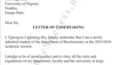 Letter of undertaking﻿