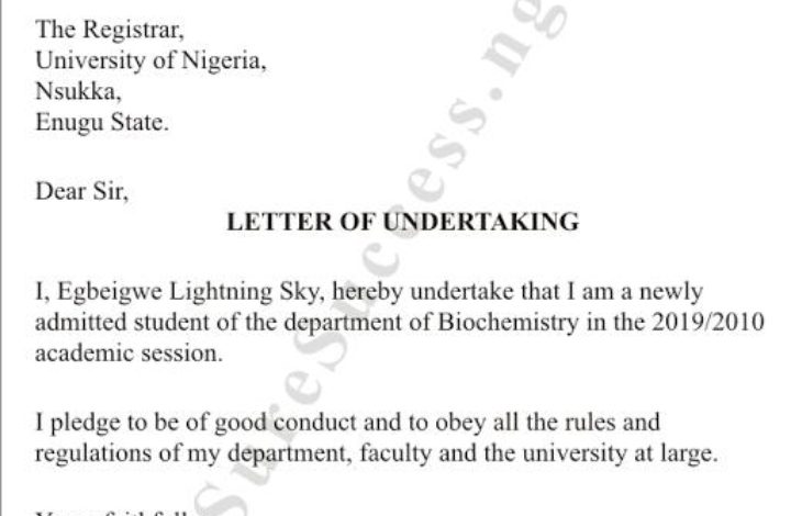 Letter of undertaking﻿